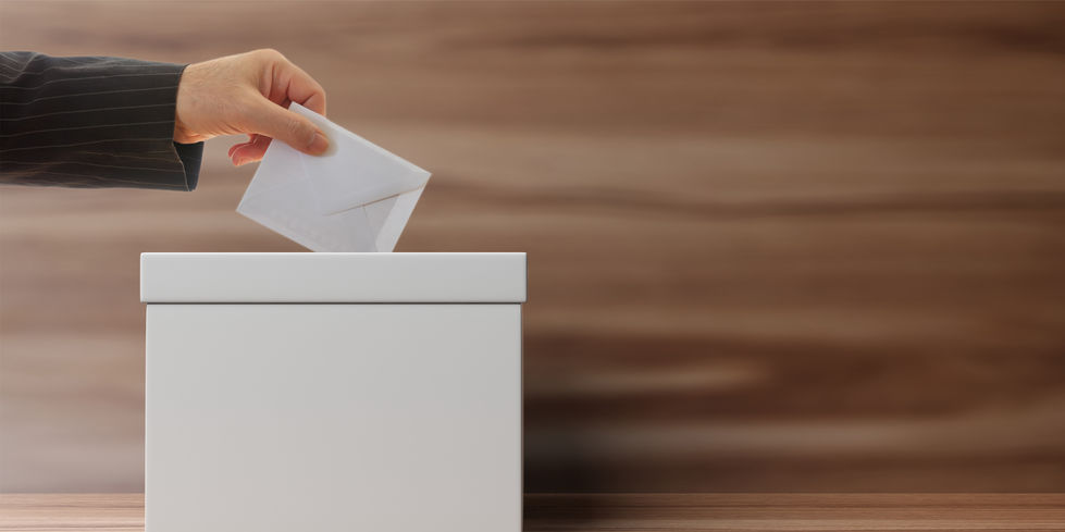 Voter on wooden background. 3d illustration Voter on wooden background. 3d illustration