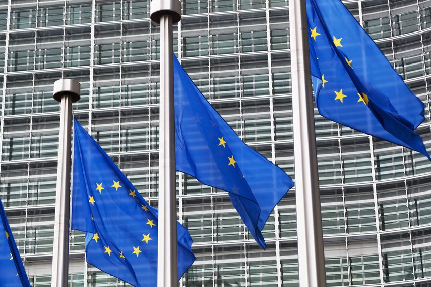 14464185 european union flags against the european parliament building