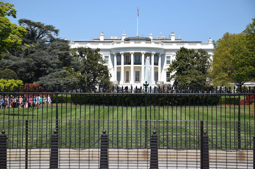57184007 the white house in washington, dc