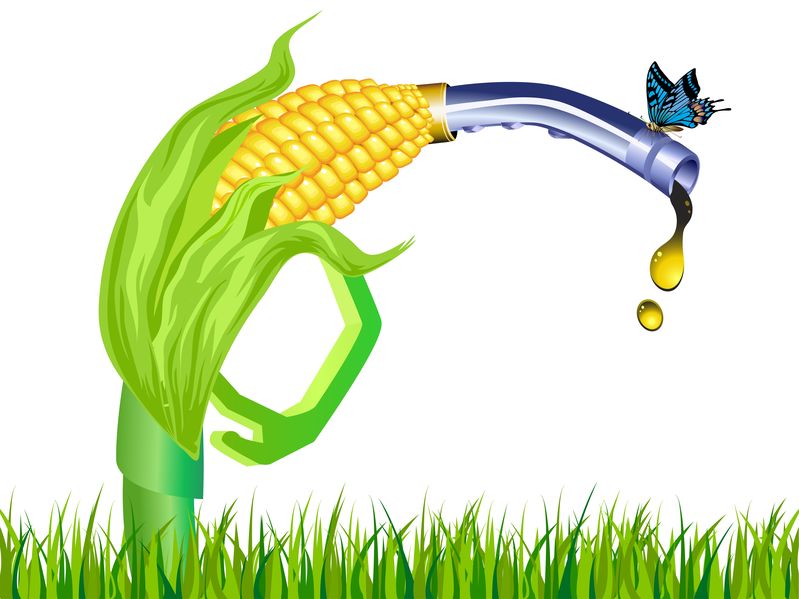 14698864 corn stalk ethanol gas pump with butterfly on white background