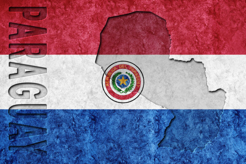 Paraguay Metallic flag, Textured flag